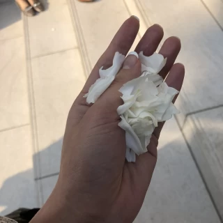 フラワーシャワー