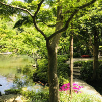 立派な日本庭園