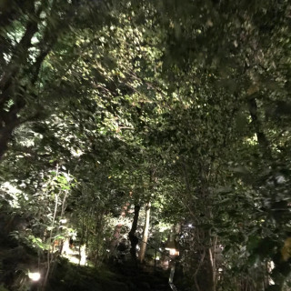 京都を感じるお庭