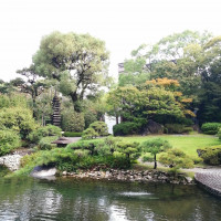 ロビーから見える日本庭園