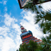 入り口から見上げた東京タワー