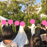 ガーデンは緑に囲まれています。