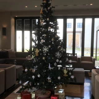 11月だったので、ロビーに大きなクリスマスツリーがありました