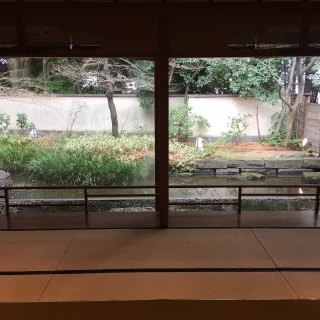 窓が大きくて開放的です