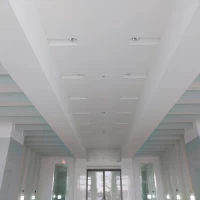 天井は高く、白を基調としている。フェザーシャワー演出も可能