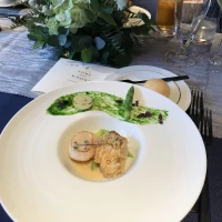おしゃれなお料理