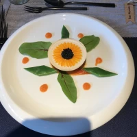 お花のようなデザイン