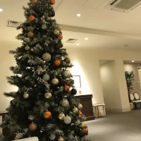 12月ということで受付にはクリスマスツリーが