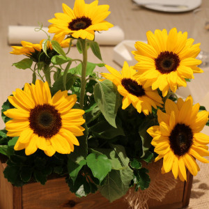 テーブル装花|546536さんのMARRYGOLD  PREMIER 【マリーゴールド プルミエ】（営業終了）の写真(888798)