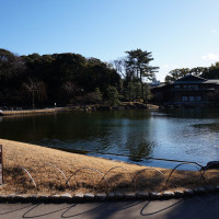 とても大きな日本庭園でした。