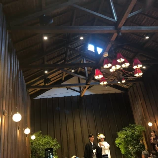 天井は高いです