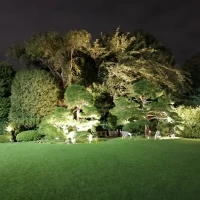 中庭