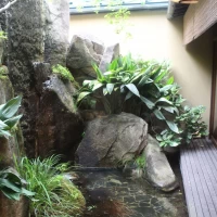 庭が素敵でした