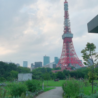 東京タワーが一望できます。