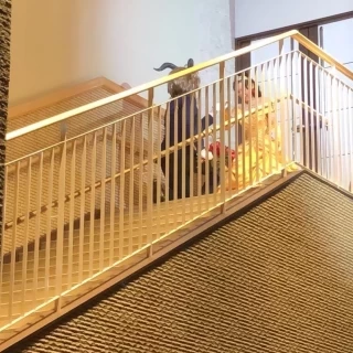 演出入場