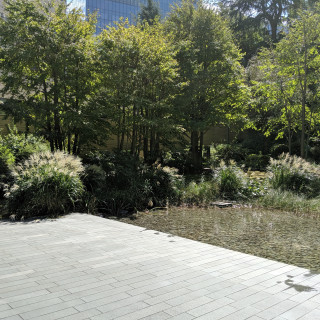 池のあるお庭