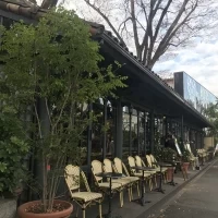 外観から木がたくさんで、自然たっぷり。