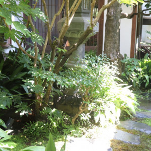 中庭|548364さんの藤屋御本陳（THE FUJIYA GOHONJIN）の写真(1079305)