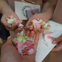 フラワーシャワー