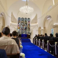 青の絨毯が綺麗