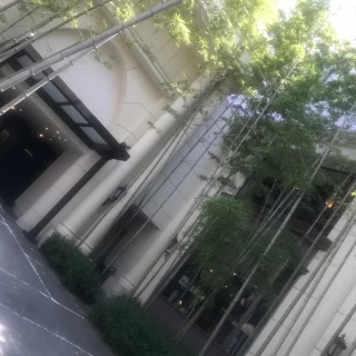 入り口の竹が素敵でした
