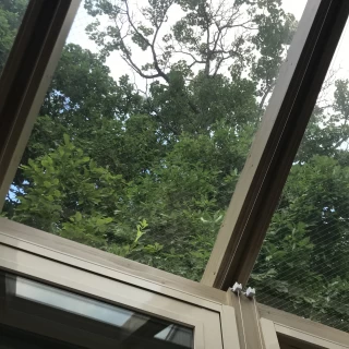 自分の座った席から見える景色