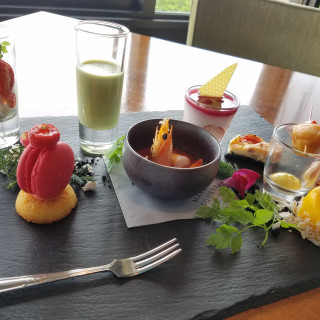 見学試食