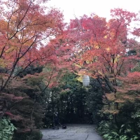 夜にはランタンが灯り、とても素敵です。