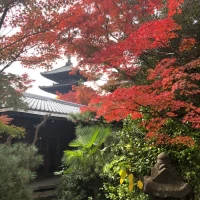 秋は紅葉がきれいです。