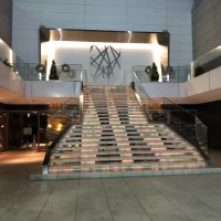 フラワーシャワー
大階段