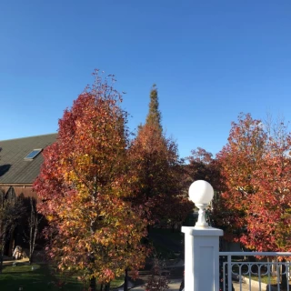 紅葉が綺麗な季節でした