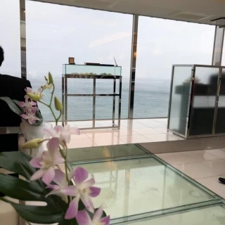 雨でした。