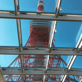 絶景の東京タワー