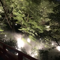 雲海も見れます