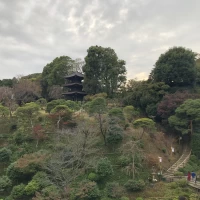 秋は紅葉がキレイです