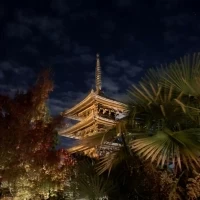 デッキから見える景色
