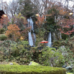 お庭には滝があり、鯉が泳いでいます|550454さんのRoyal Garden Palace 八王子日本閣の写真(925059)