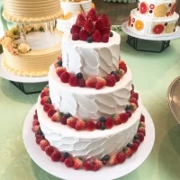 プラン内ケーキ