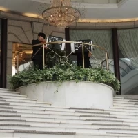 大階段では生演奏でお出迎え