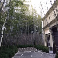 竹が特長的