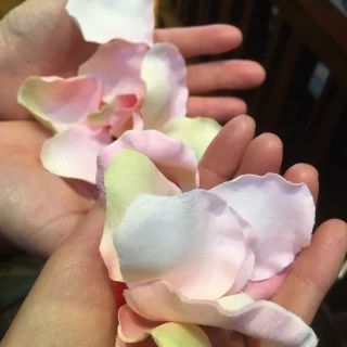 フラワーシャワーです。