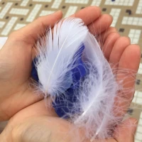 フラワーシャワーは羽