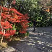 紅葉していて雰囲気が良かったです。