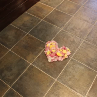フラワーシャワー3