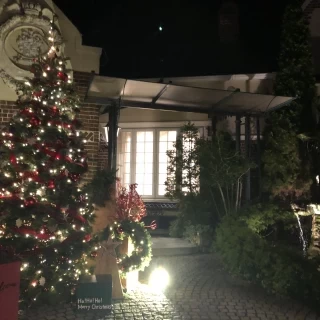 クリスマスツリー
