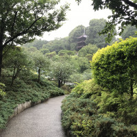 ビルなども見えない程壮大な日本庭園が魅力です。