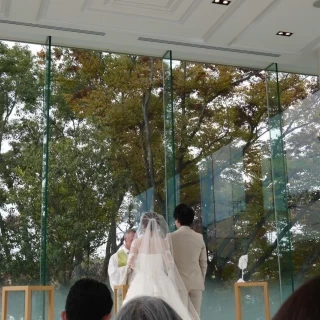 12月でしたが緑がきれいでした！