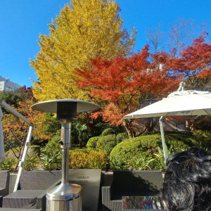 ガーデンパーティ|552101さんのTHE LANDMARK SQUARE TOKYO（ザランドマークスクエアトーキョー）（営業終了）の写真(932627)