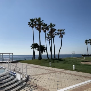 青い空に海、綺麗な芝にヤシの木とどこを見ても素敵な会場でした