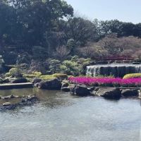 披露宴会場からの景色
